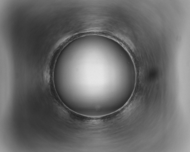 X0000102301406200807251426