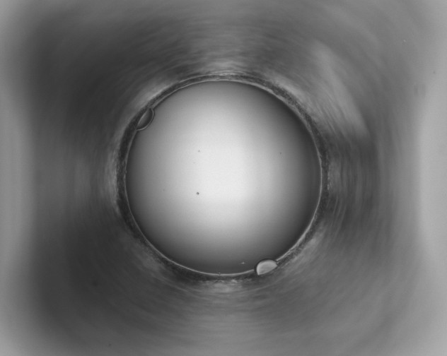 X0000102301410200807251426