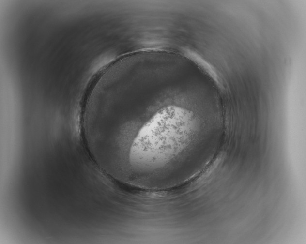 X0000102301411200807251426