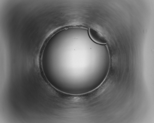 X0000102301412200807251426