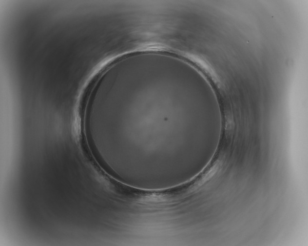 X0000102301414200807251426