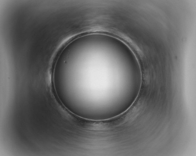 X0000102301416200807251426