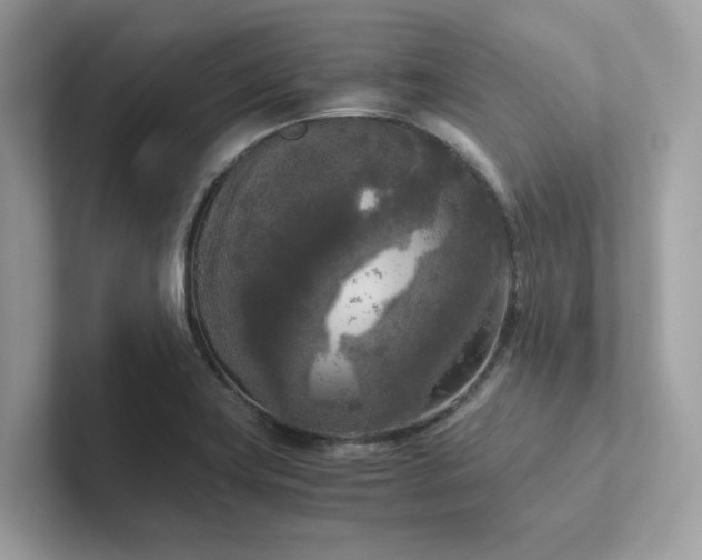 X0000102301419200807251426