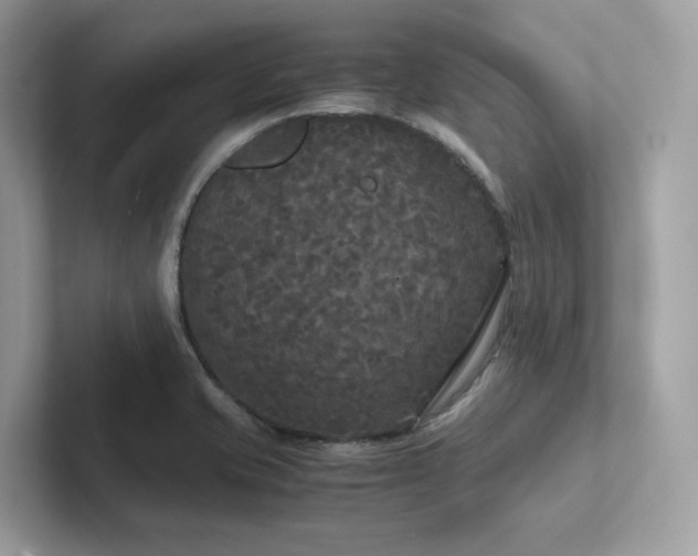X0000102301421200807251426
