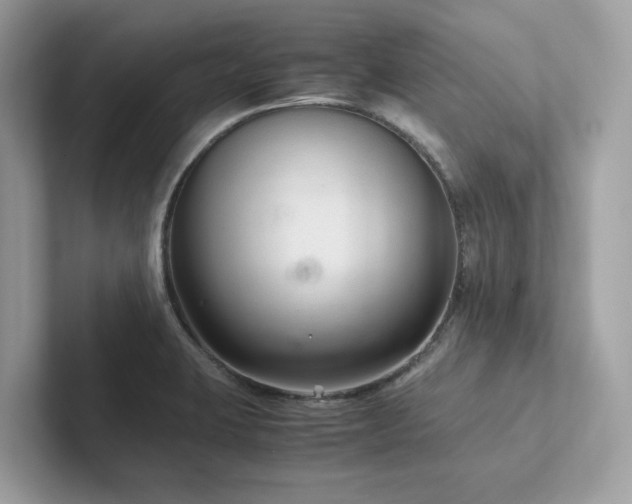 X0000102301423200807251426