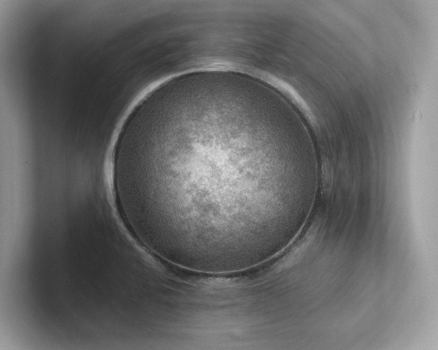 X0000102301424200807251426