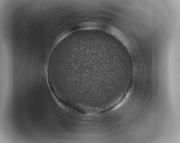 X0000102301425200807251426