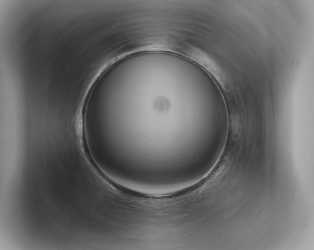 X0000102301428200807251426