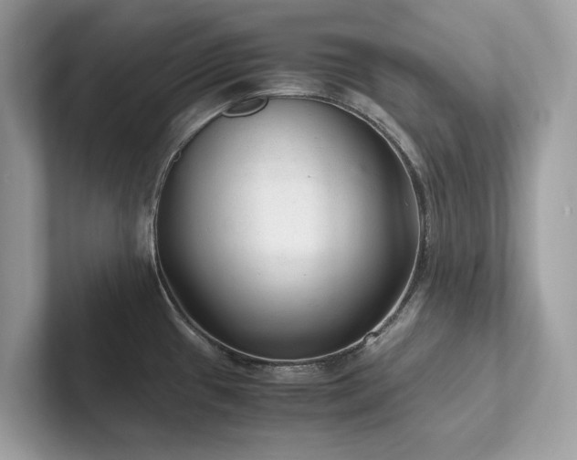 X0000102301433200807251426