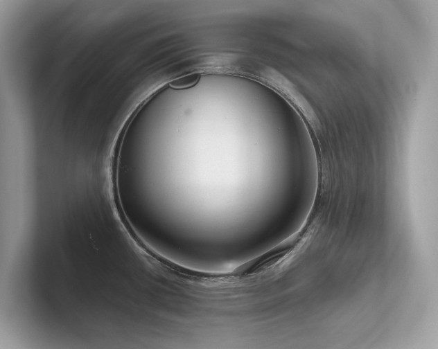 X0000102301434200807251426