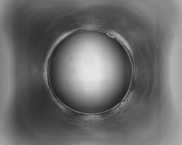 X0000102301437200807251426
