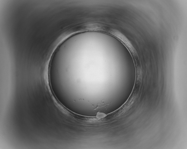 X0000102301439200807251426