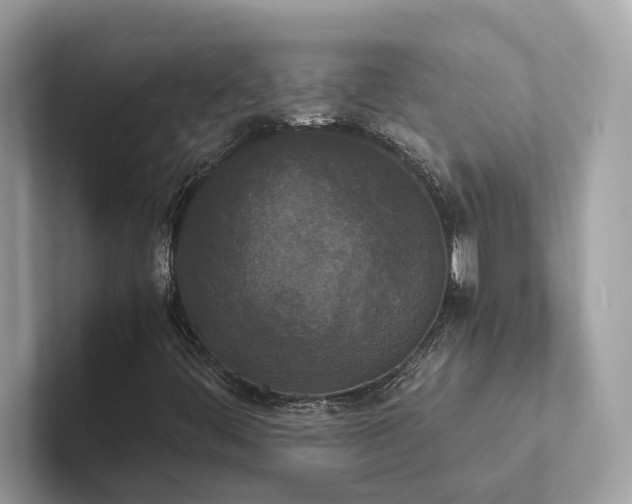 X0000102301444200807251425
