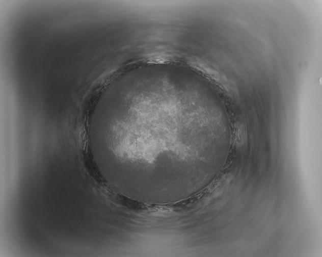 X0000102301446200807251425
