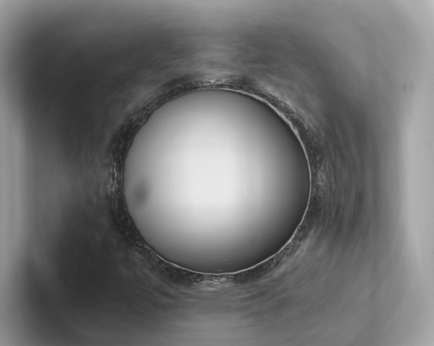 X0000102301447200807251425