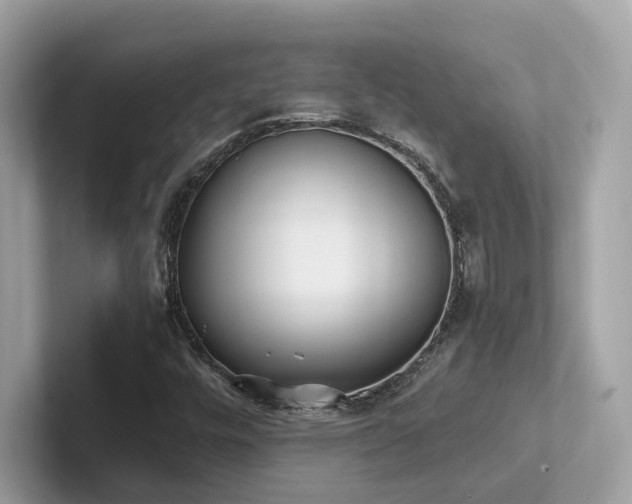 X0000102301448200807251425