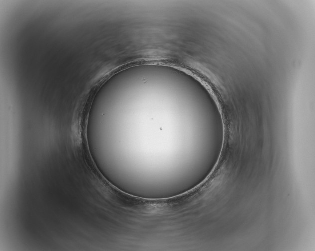 X0000102301451200807251425
