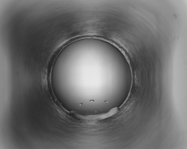 X0000102301452200807251425