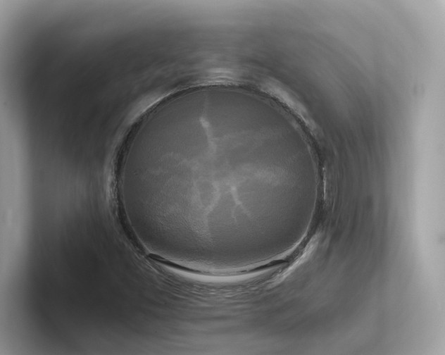 X0000102301453200807251425