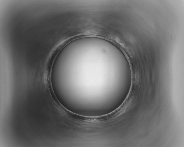 X0000102301454200807251425