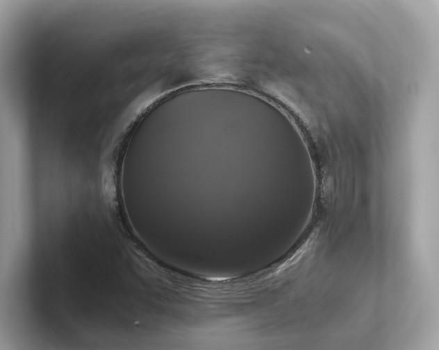 X0000102301455200807251425