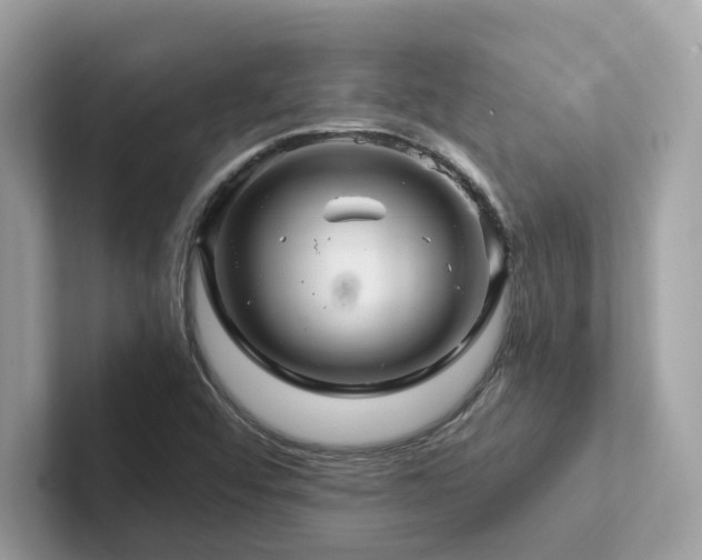 X0000102301456200807251425