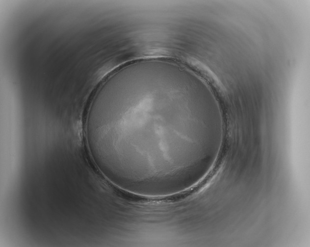 X0000102301457200807251425