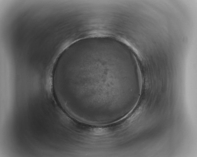 X0000102301459200807251425