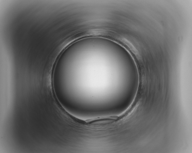 X0000102301465200807251425