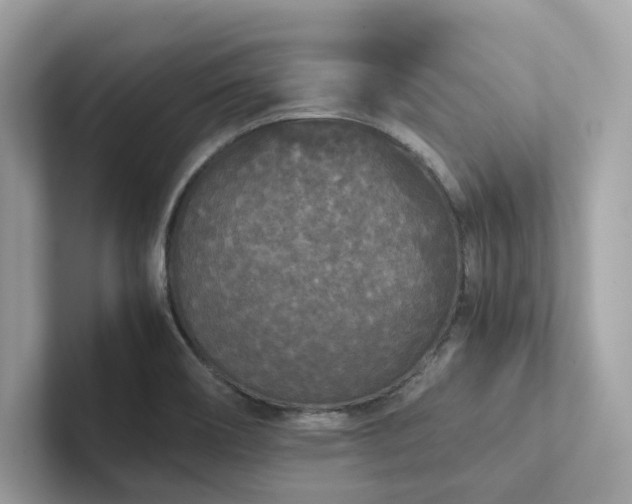 X0000102301466200807251425