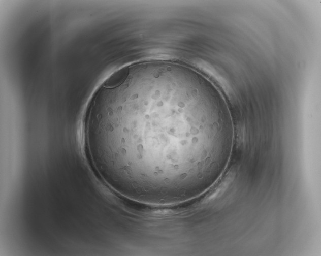 X0000102301467200807251425