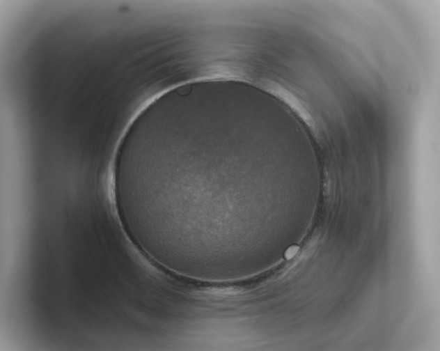 X0000102301468200807251425