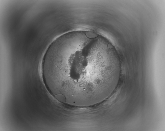 X0000102301471200807251425