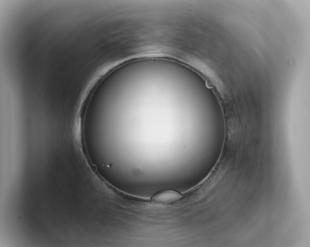 X0000102301472200807251425