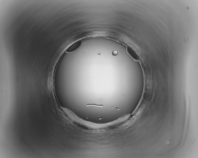 X0000102301473200807251425