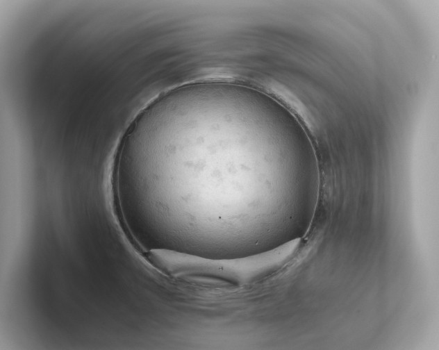 X0000102301475200807251425