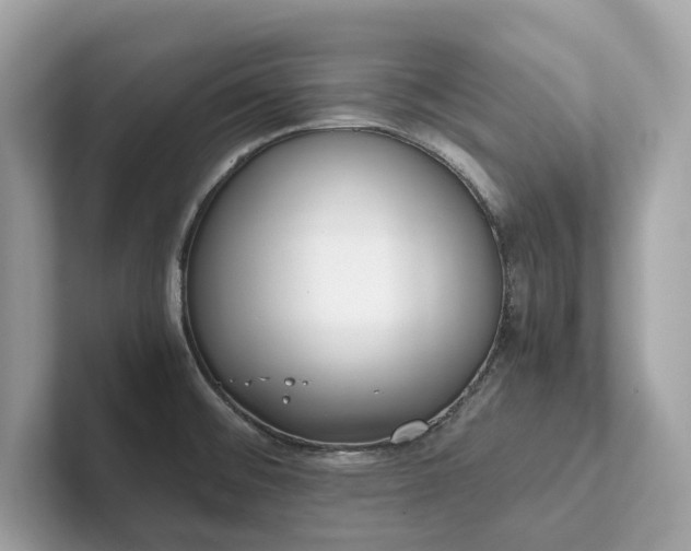 X0000102301476200807251425
