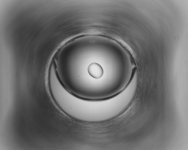 X0000102301477200807251425