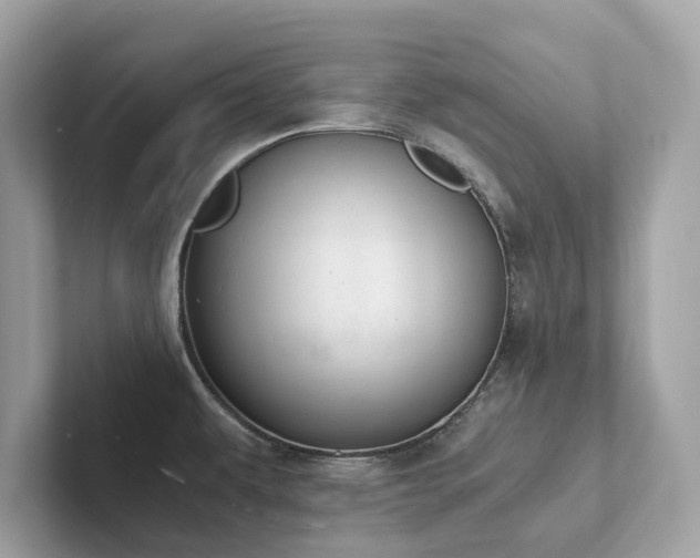 X0000102301479200807251425