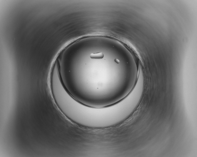 X0000102301480200807251425