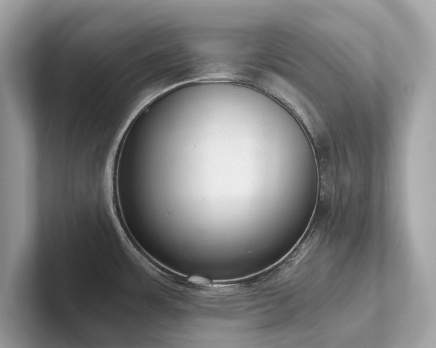 X0000102301483200807251425