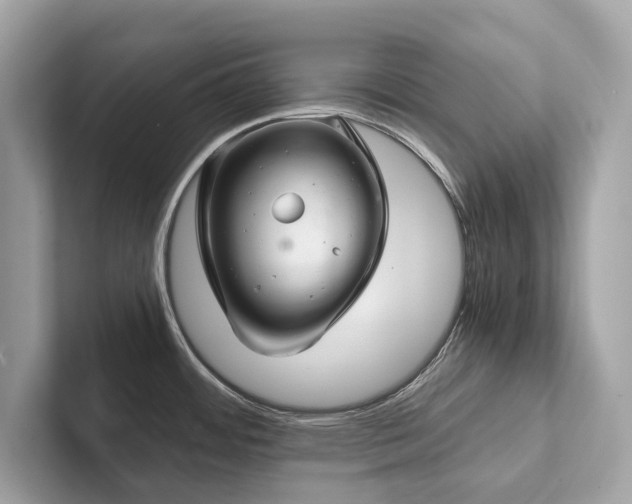 X0000102301484200807251425