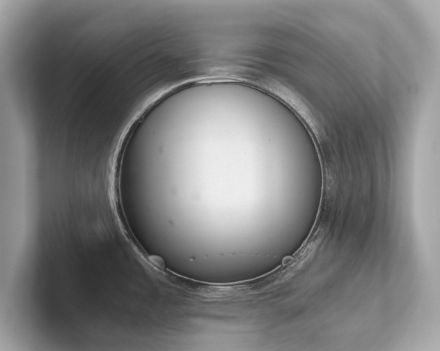 X0000102301485200807251425