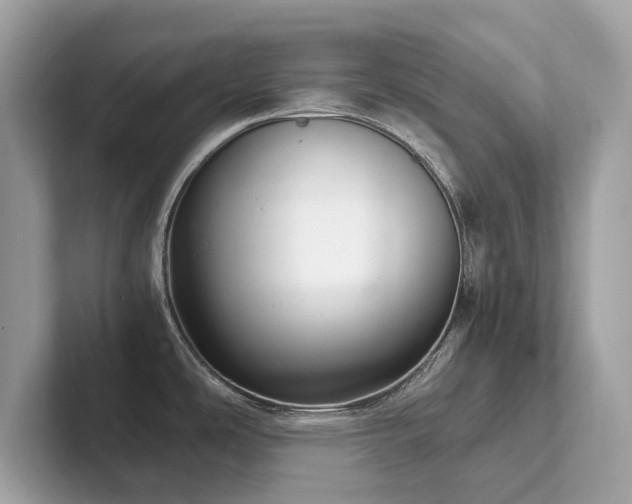 X0000102301486200807251425