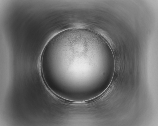 X0000102301487200807251425
