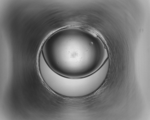 X0000102301488200807251425