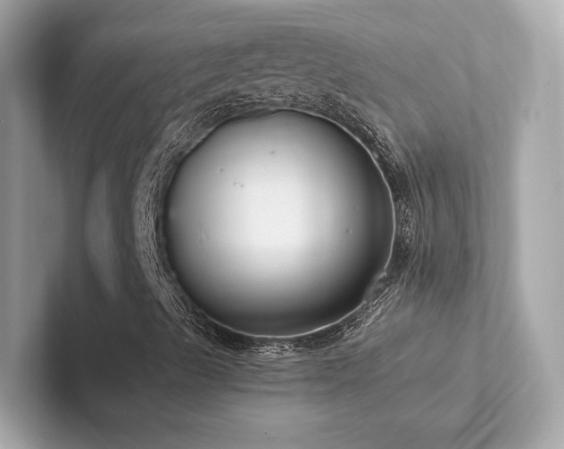 X0000102301489200807251424