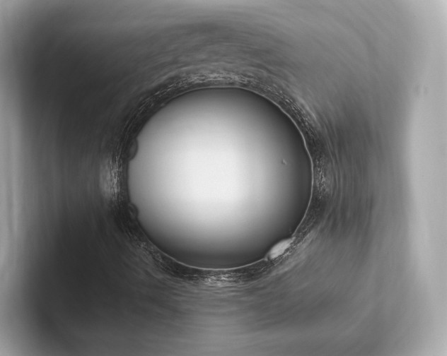 X0000102301490200807251424