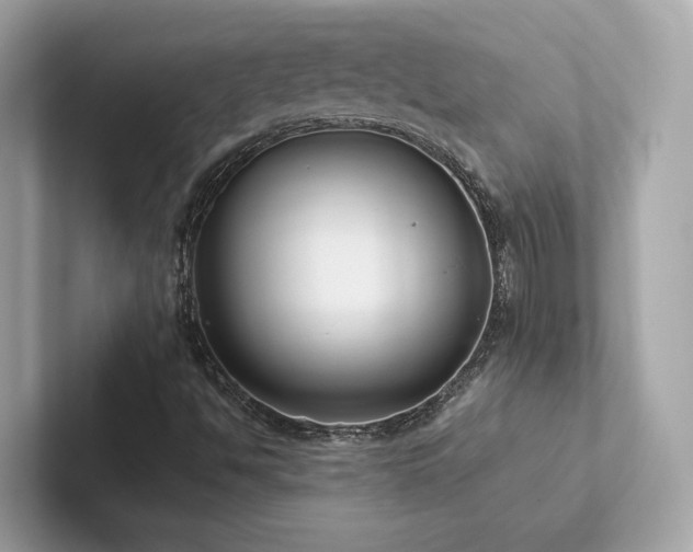 X0000102301494200807251424