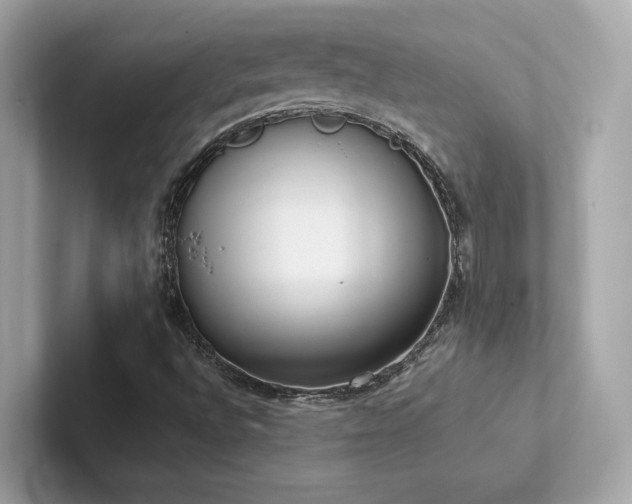 X0000102301496200807251424